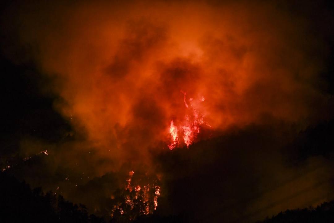 重庆山火牵动人心,玉禾田员工参与山火扑救 重庆山火牵动人心,玉禾田员工参与山火扑救