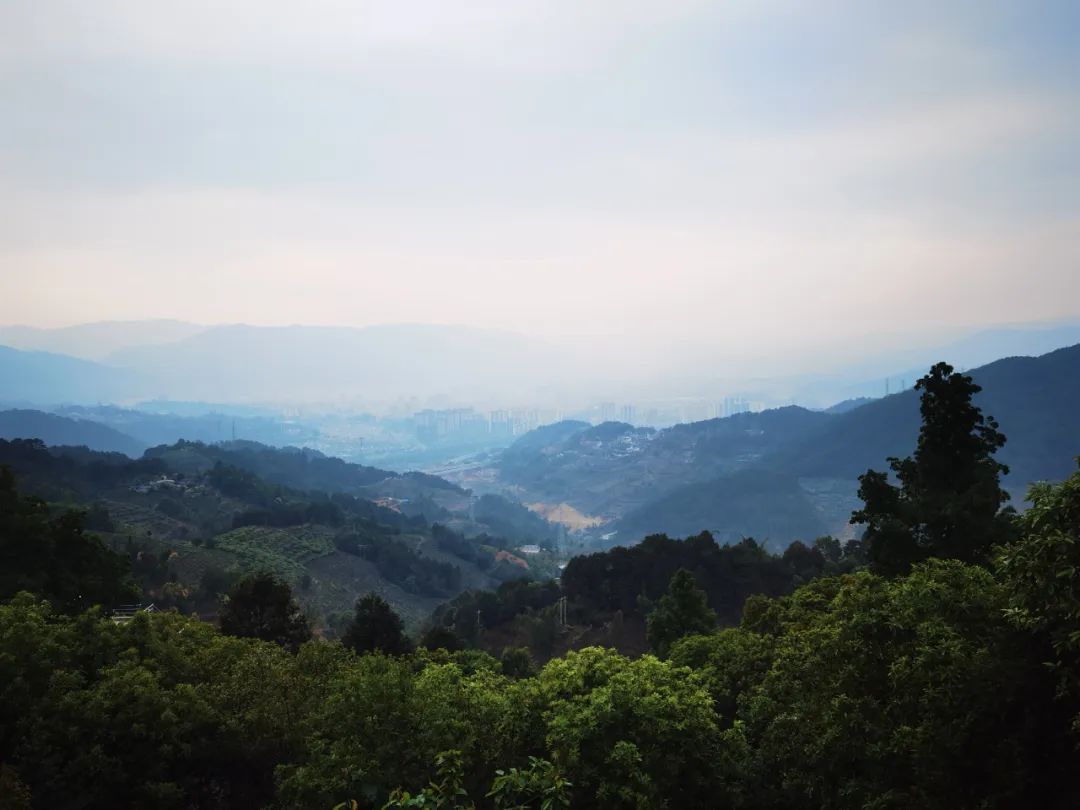 玉禾田携手宜良县政府合作碳中和项目