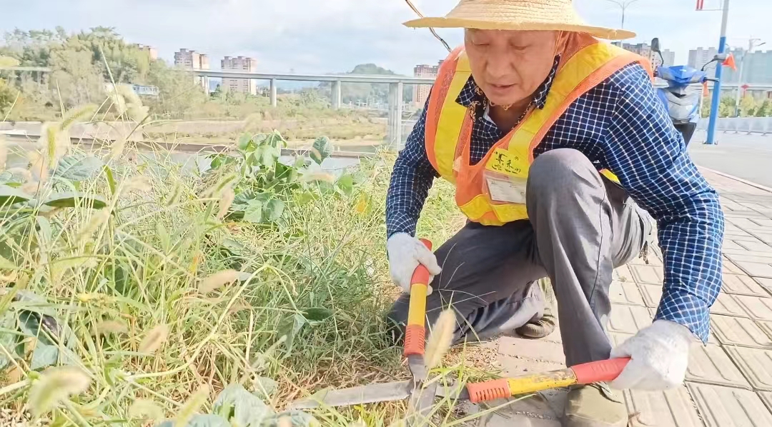 【岳西玉禾田】喜迎国庆，助力创城，环境整治在行动