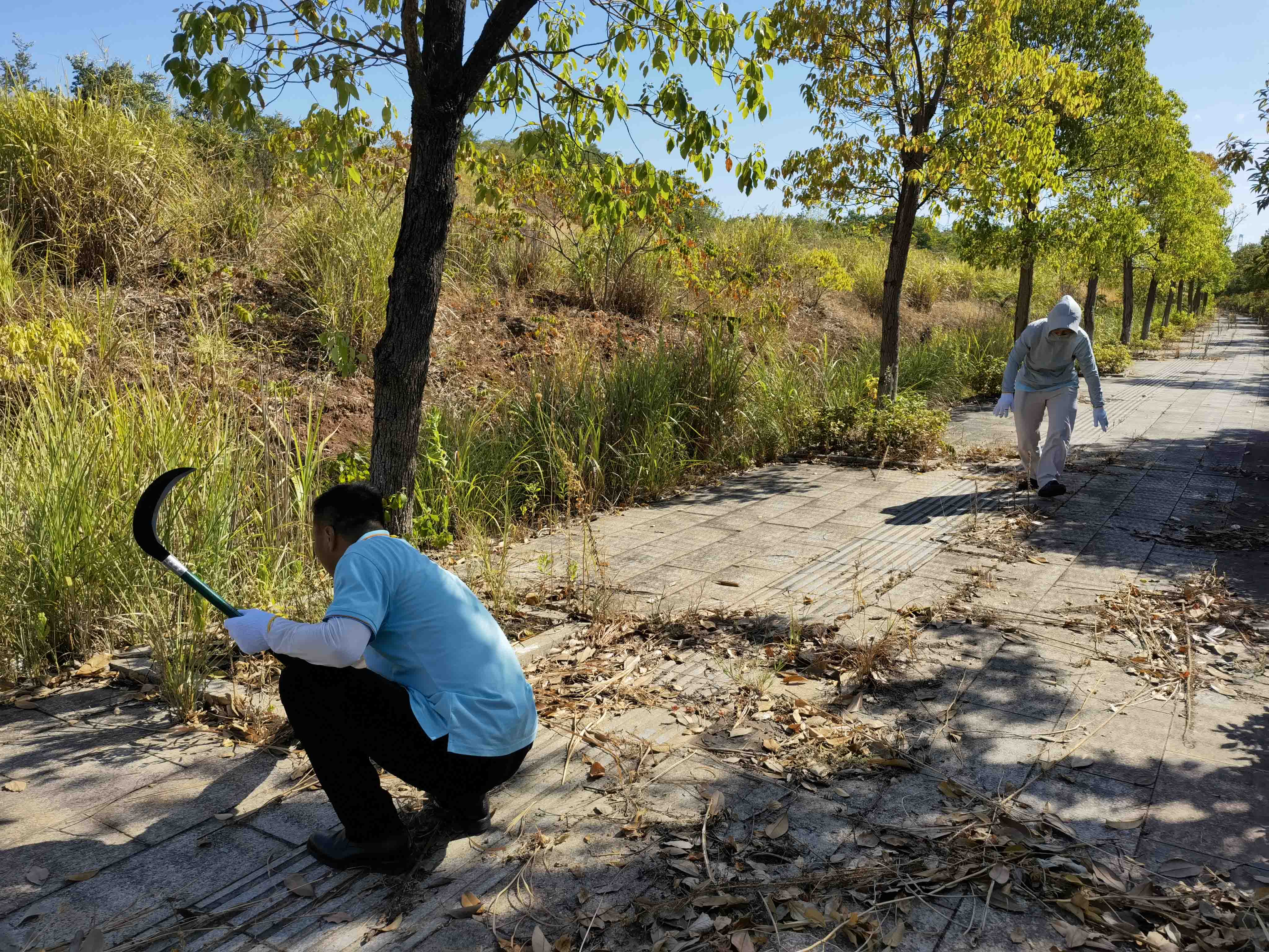 【湘潭玉禾田】久旱逢甘霖,玉禾田打造靓丽市容环境 【湘潭玉禾田】久旱逢甘霖,玉禾田打造靓丽市容环境