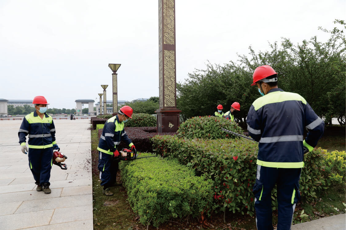 城市公园绿化管理